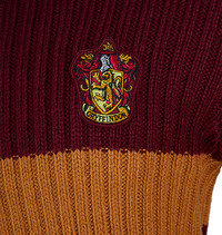 Polerón de Quidditch Gryffindor