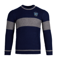 Polerón de Quidditch de Ravenclaw