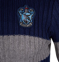 Polerón de Quidditch de Ravenclaw