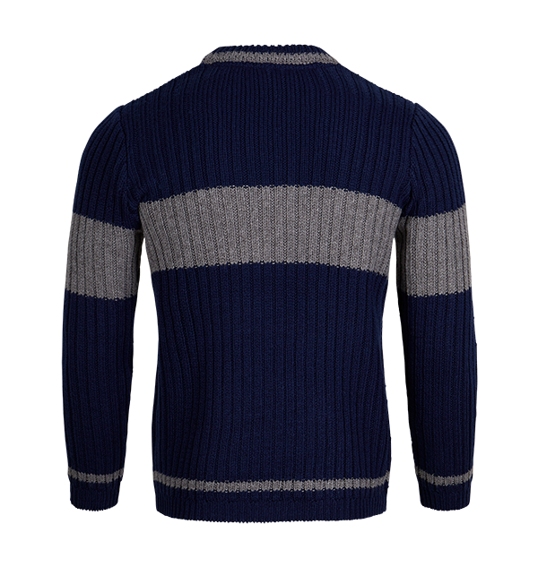 Polerón de Quidditch de Ravenclaw