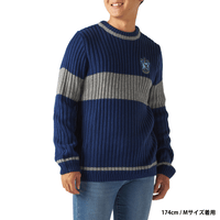 Polerón de Quidditch de Ravenclaw