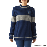 Polerón de Quidditch de Ravenclaw