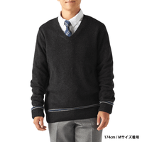 Polerón escolar Ravenclaw