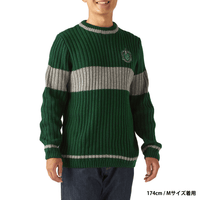 Polerón de Quidditch de Slytherin