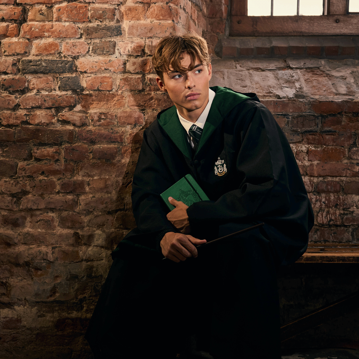 Corbata de la casa Slytherin