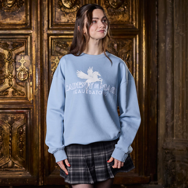 Polerón Beauxbatons de Harry Potter
