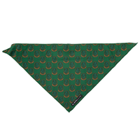 Bandana para perro Slytherin x Sassy Woof