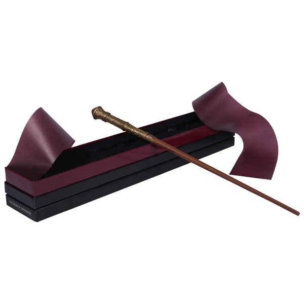 Set de disfraz de la casa Gryffindor