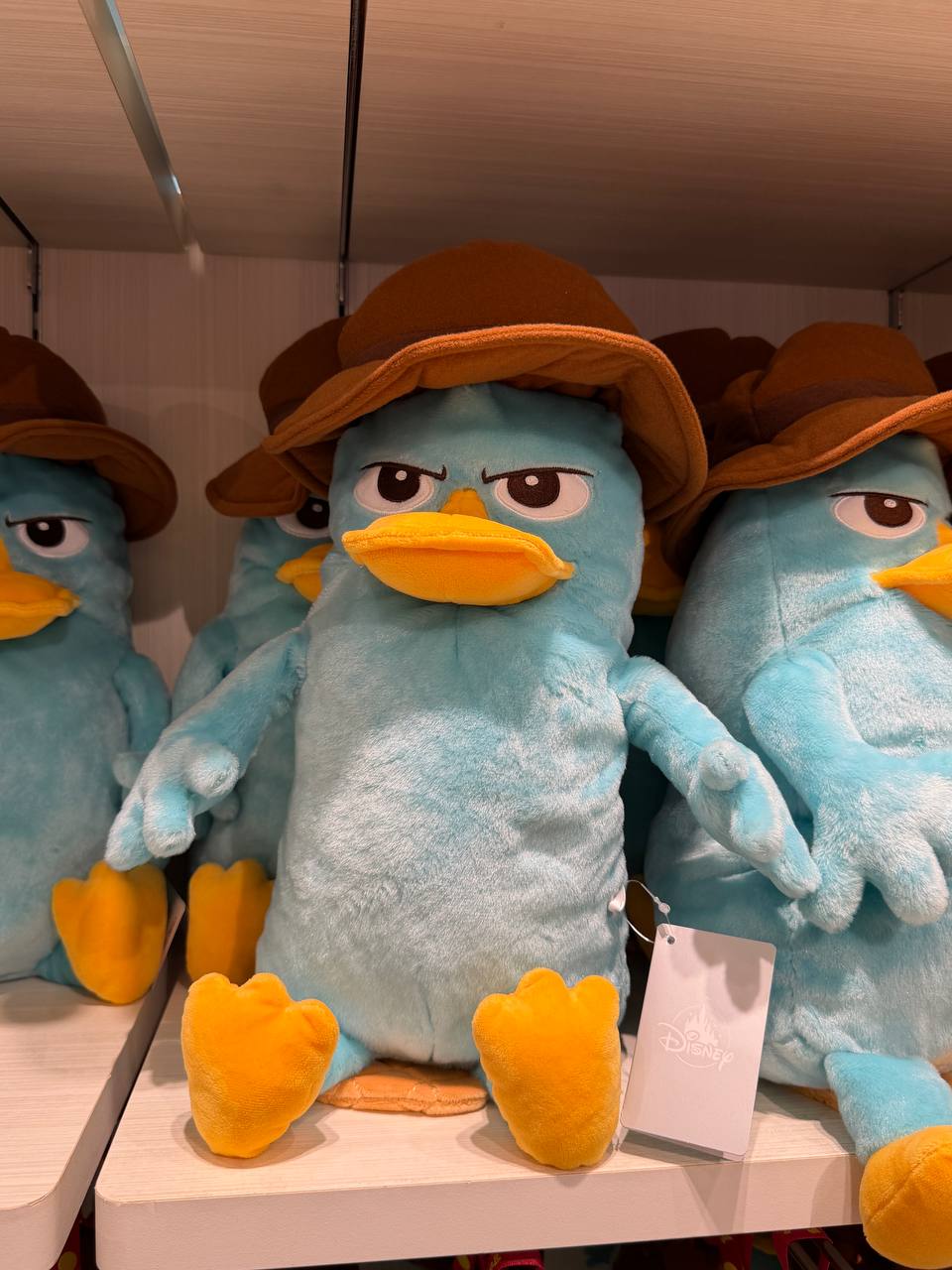 Peluche Mediano Perry el Ornitorrinco