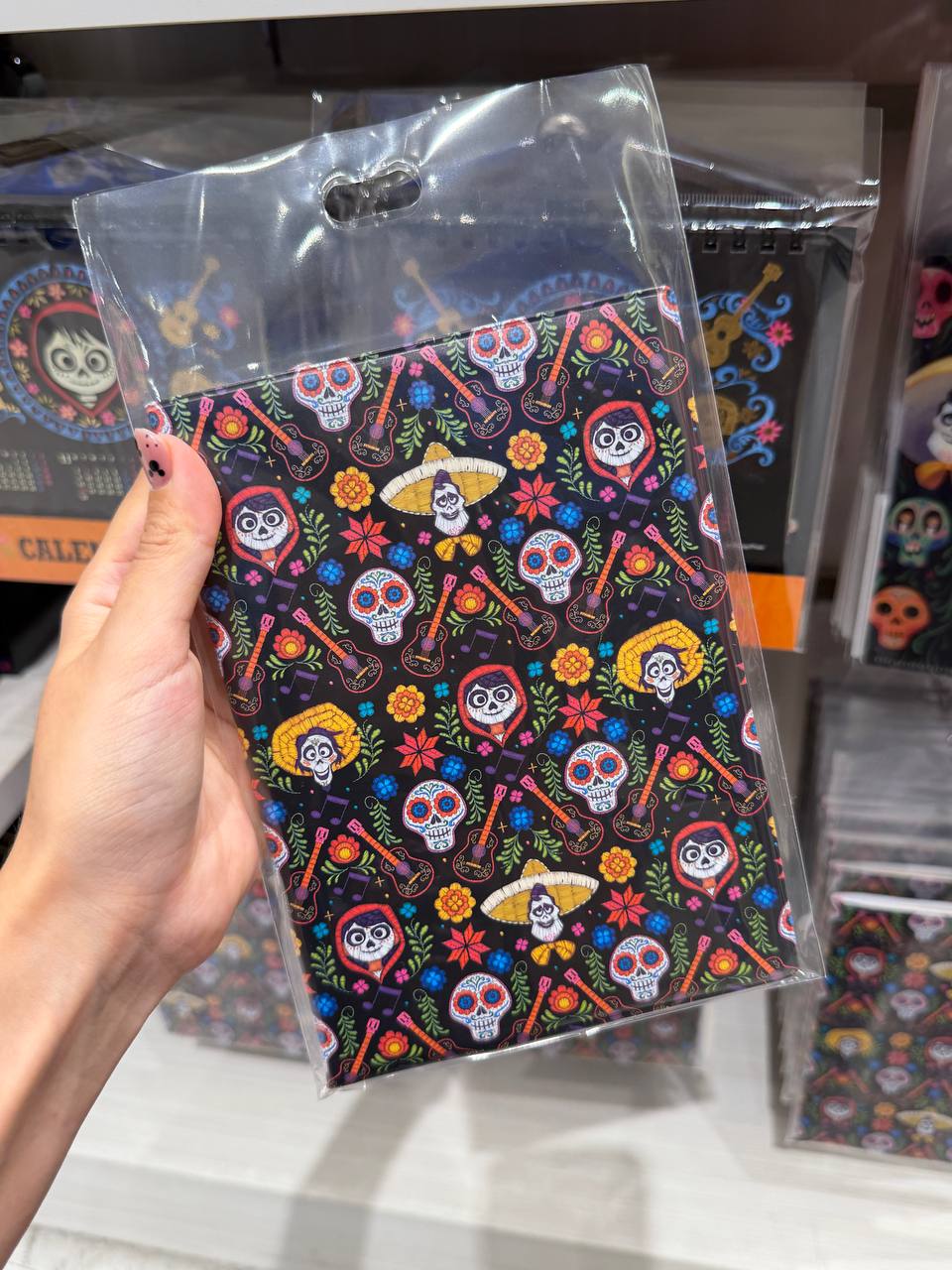Agenda Planner 2027 Coco Disney