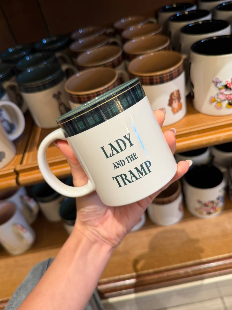 Tazón Trump con Borde Cuadriculado Disney
