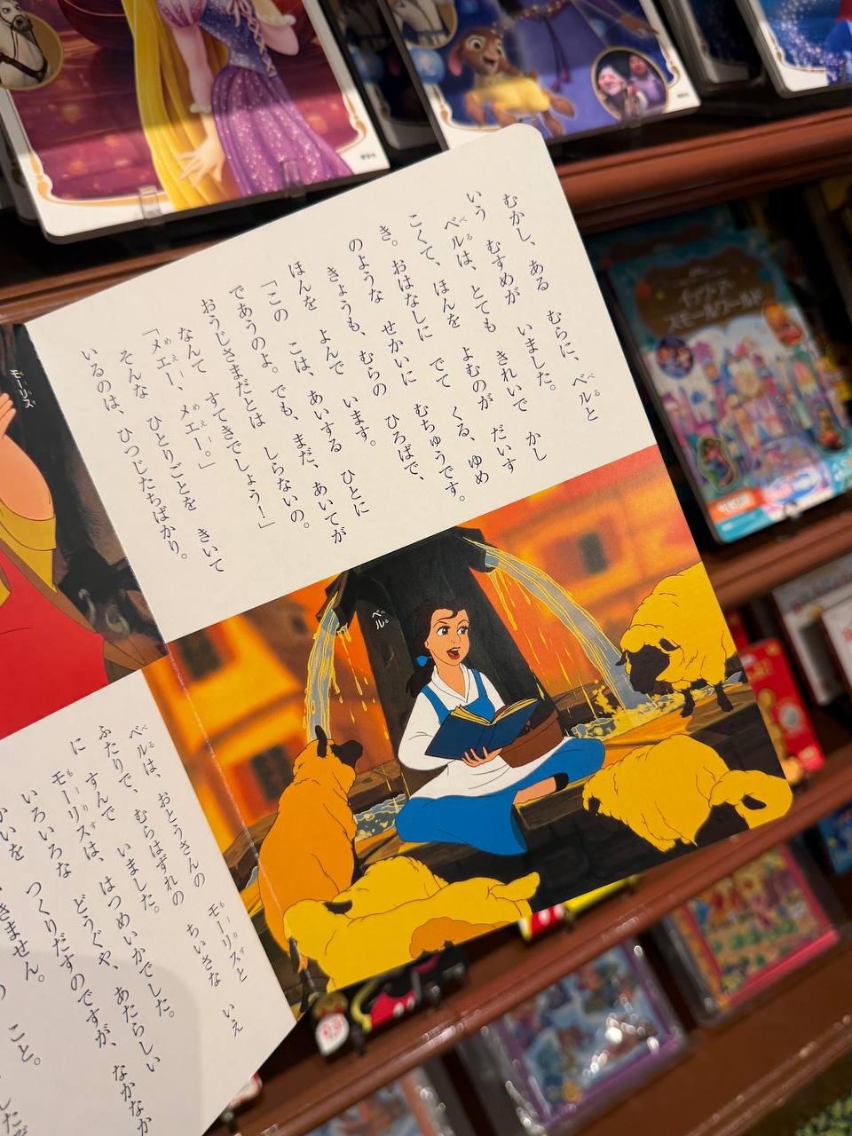 Libro La Bella y la Bestia Tapa Dura