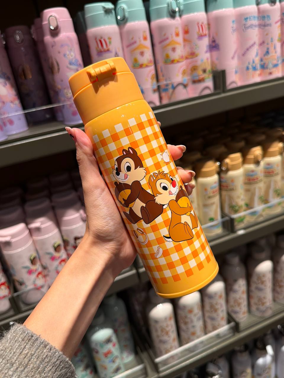 Botella Chip y Dale Cuadros Naranjos