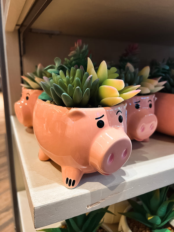 Suculenta Disney Parks - Hamm de Toy Story