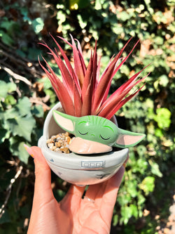 Suculenta Ceramic Plant de Baby Yoda Nave