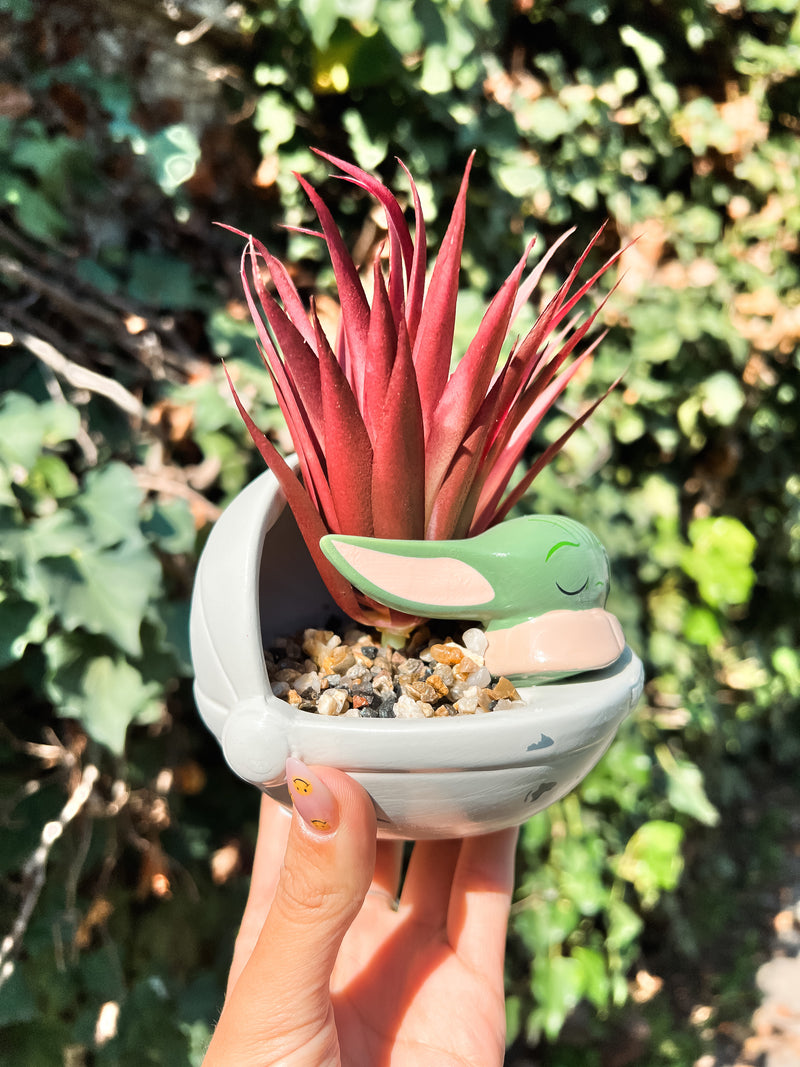 Suculenta Ceramic Plant de Baby Yoda Nave