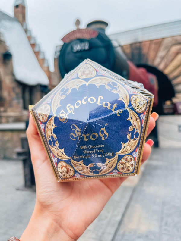 Rana de Chocolate Harry Potter (Chocolate Frog) - Space Store