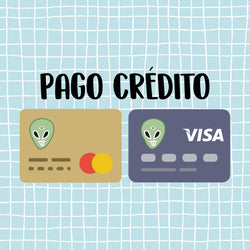 Pago Credito - Space Store