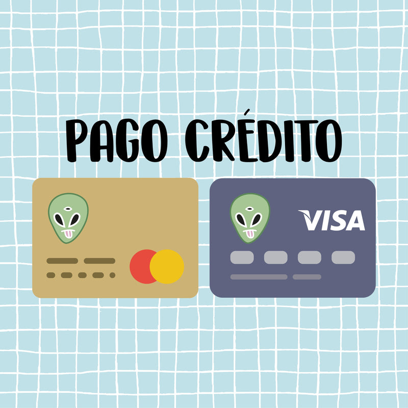 Pago Credito - Space Store